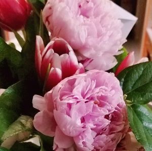 Meet your Posher, Noah